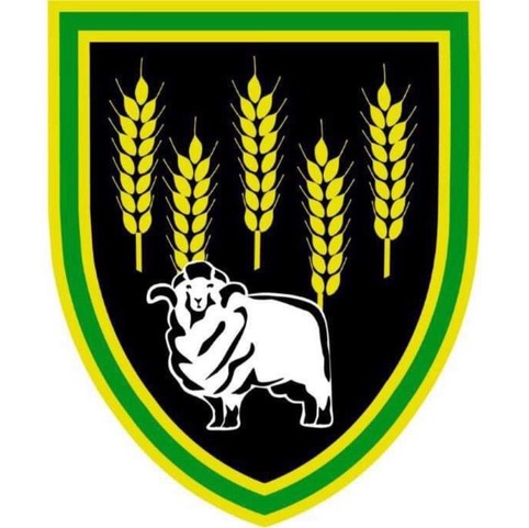 Towns Cricket Club Narrogin logo
