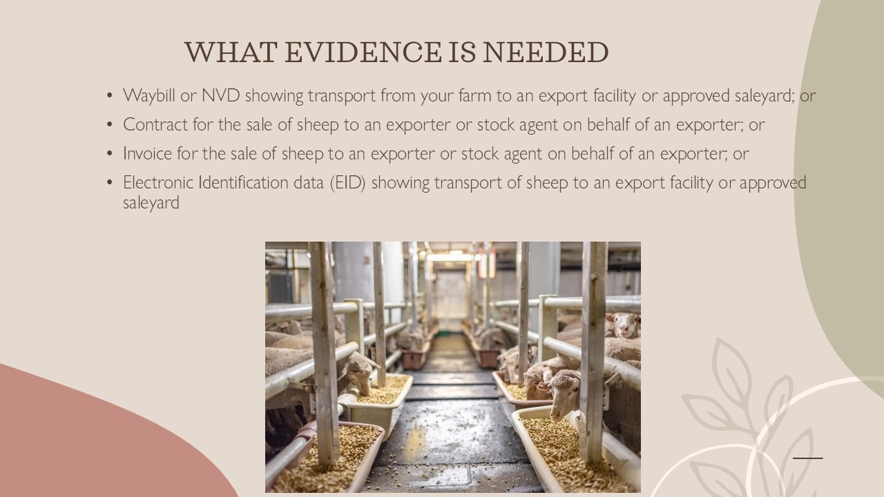 Screenshot of grants.gov.au GrantConnect homepage, where Australian farmers, including WA sheep producers affected by the live export phase out, can access and apply for Federal Government grants such as the Farm Business Transition Grant.