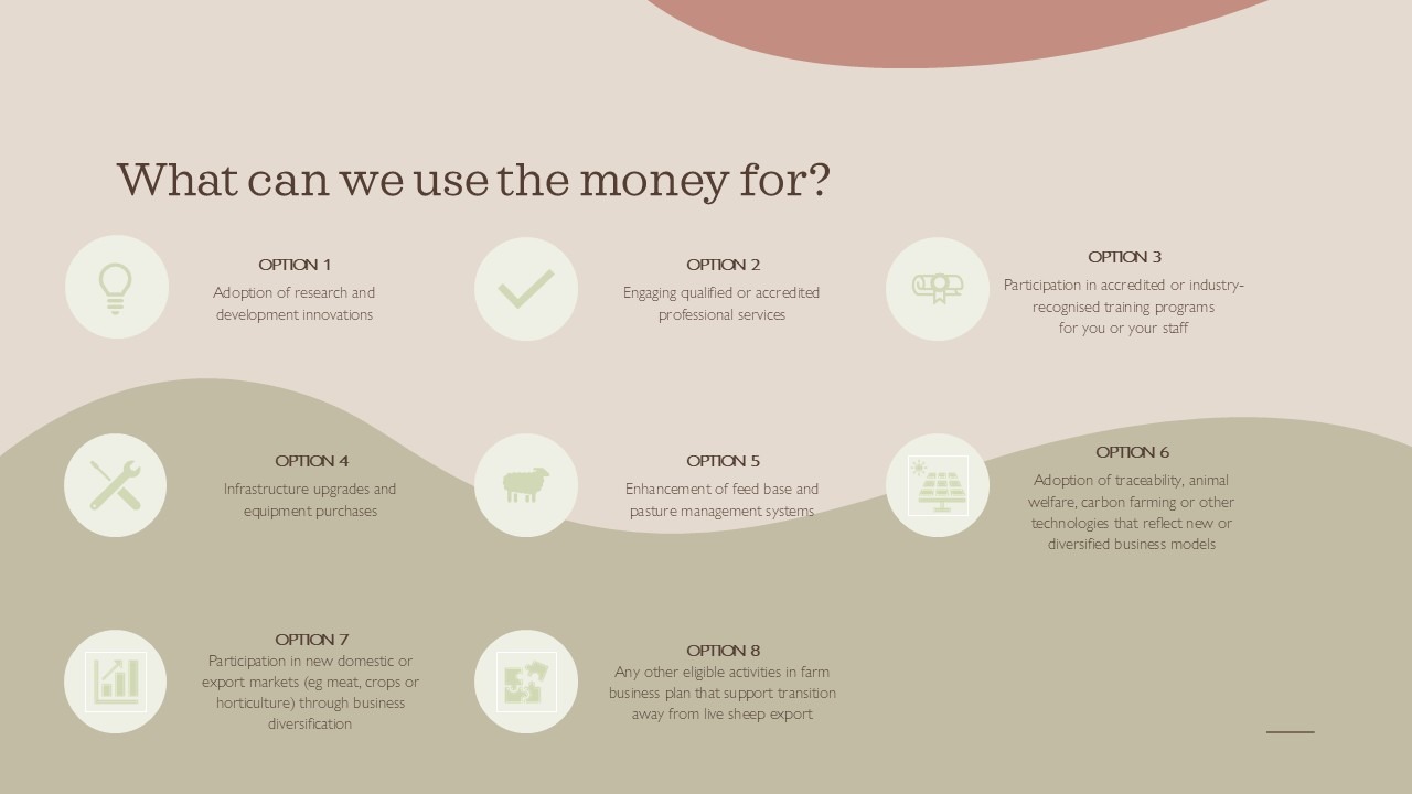 WA sheep producer infographic outlining Farm Business Transition Grant benefits, including planning support, R&amp;D, infrastructure upgrades, and a photo of a farmer holding a sheep.