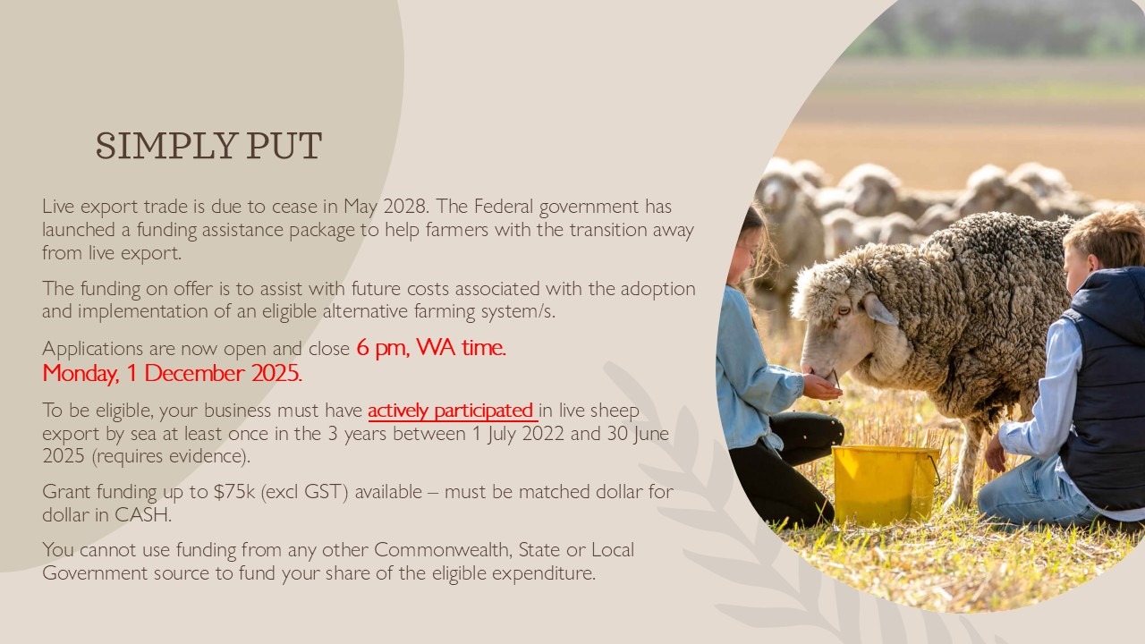 Live Export Phase Out grant summary slide with key dates and eligibility criteria, alongside an image of children feeding a Merino sheep in a WA paddock.